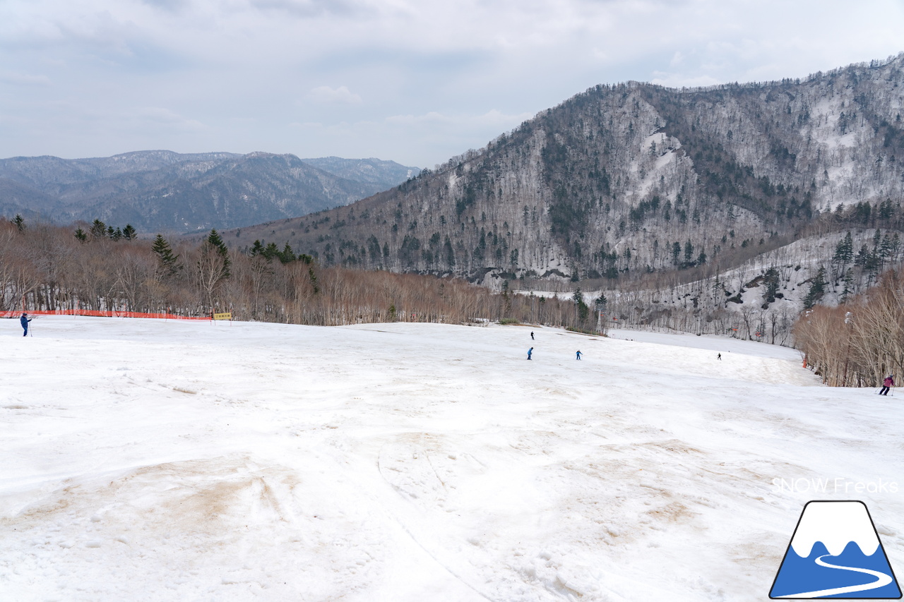 札幌国際スキー場｜2023・ゴールデンウィークがスタート！心配された雪ですが…。大丈夫、ちゃんと残ってくれました(^_-)-☆